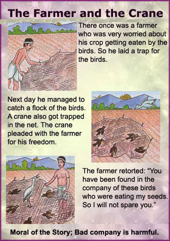 The Farmer and The Crane