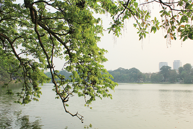 Hồ Gươm như một “lẵng hoa giữa lòng thành phố”