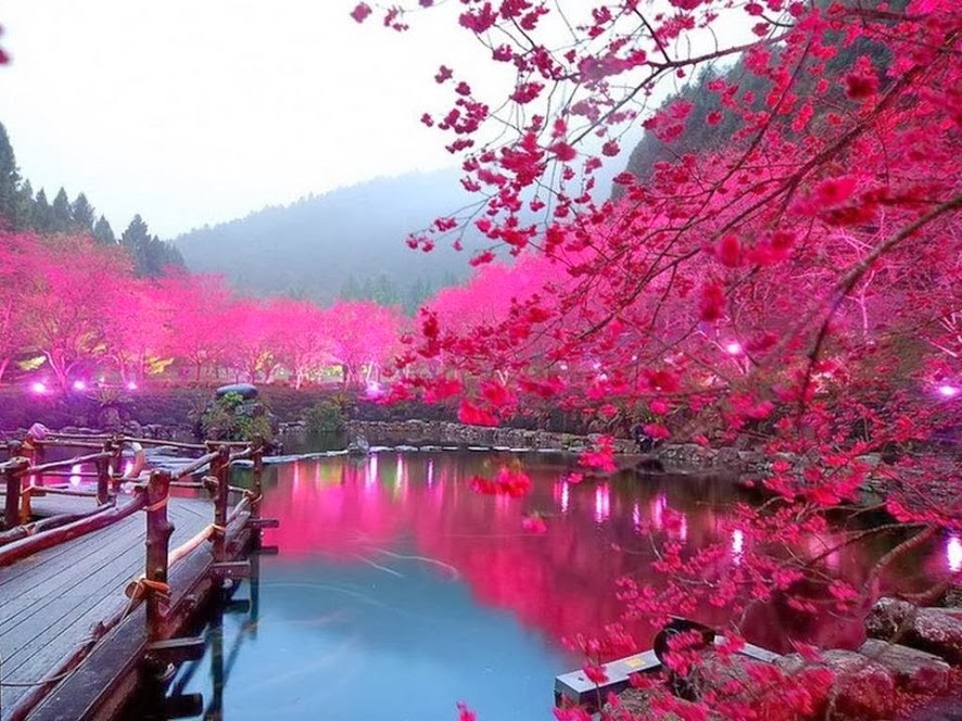 Đất nước Hàn Quốc xinh đẹp
